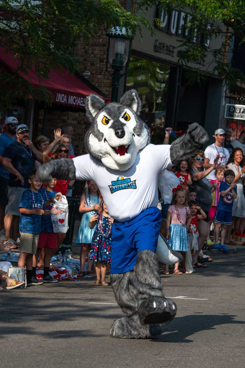 Timberwolf mascot running during a parade